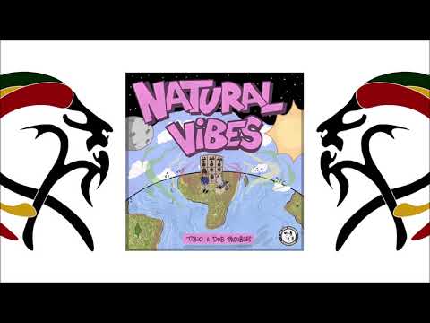 Tibio & Dub Troubles - Natural Vibes (Album 2020 By Fat Bird Recordings)