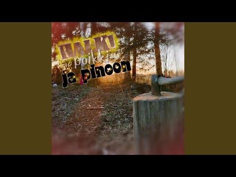 Halki, poikki ja pinoon