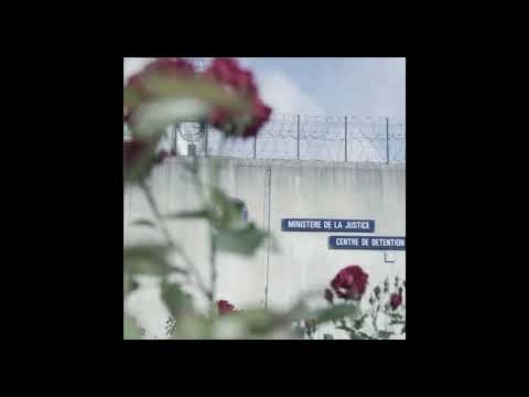 NIZZY BEE - SCOFIELD (05/07/2023)