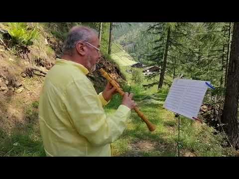 G. Ph. Telemann from Fantasia n. 10 "PRESTO" In Val di Fosse