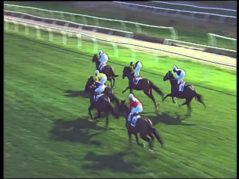 Galoppo 23/02/2016 - 6° corsa