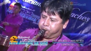 Kiwi Loco - Somos Los Temerarios Hri (En Concierto)