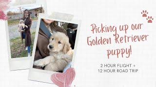 Picking Up Our Golden Retriever Puppy! | 12 Hour Road Trip