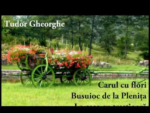 Tudor Gheorghe - Carul cu flori, Busuioc de la Plenița, La casa cu trestioară