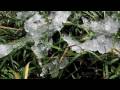 Enya - Amid the Falling Snow