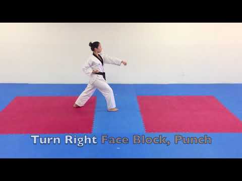 Taegeuk 6   Taegeuk Yook Jang