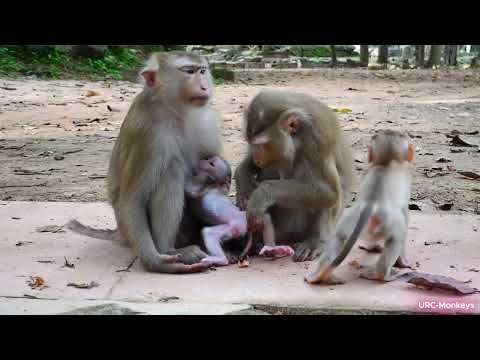 Baby LUMII breastfeeding MOM LINDA in full day_NICE baby(720P)