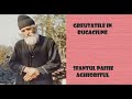 Greutatile In Rugaciune Sfantul Paisie Aghioritul