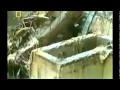 Чернобыль -- за секунду до катастрофы 