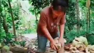 Download lagu Ngambek suami minta kopi melulu mp3