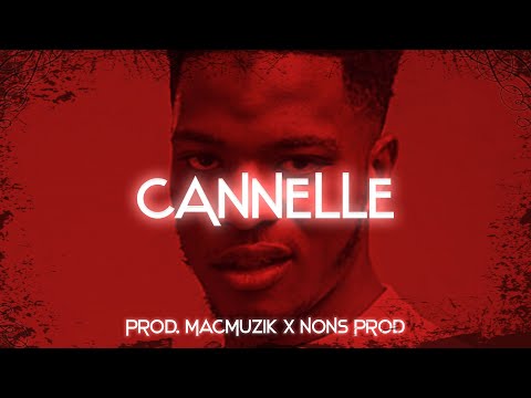 Niska x Maes Type Beat "CANNELLE" | Instru Rap Reggaeton Sombre 2020