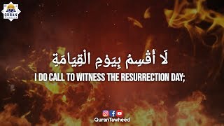 Download lagu Surah Qiyamah (1-6) | Mishary Rasheed Alafasy | Quran and Tawheed | mp3