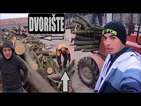 PRESELIO ŠUMU U DVORIŠTE - HOW ? (DULE MENADZER)