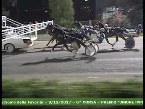 VI  CORSA  Premio UNIONE IPPICA DEL MEDITERRANEO