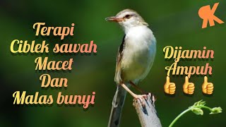 Download lagu TERAPI CIBLEK SAWAH MACET DAN MALAS BUNYI DI JAMIN AMPUH👍👍 mp3