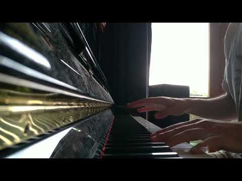 Plíhal: Myš - piano cover
