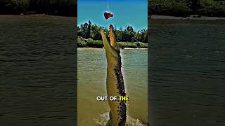 How Powerful Is a Crocodile’s Bite? 🐊💥 #Shorts #crocodile #wildlife