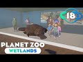 Planet Zoo Wetlands Ep 18 Platypus Paradise Part 1