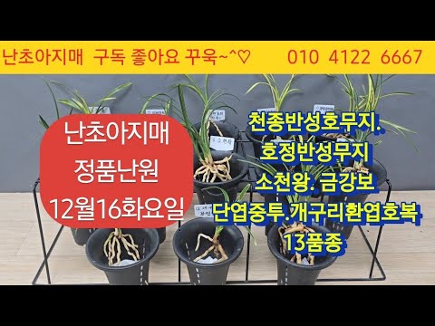 유튜브 썸네일