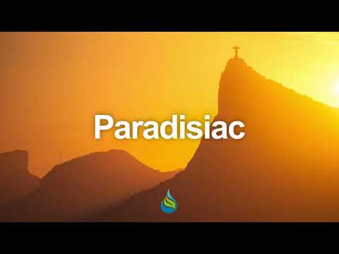 Reminiscence Quartet - Onde Anda Meu Amor