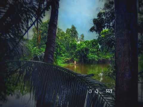 Ore Manwa Re - Bengali lyrics song🤍💙✨।।Arijit Singh ।। #viral #status #music #shortvideo