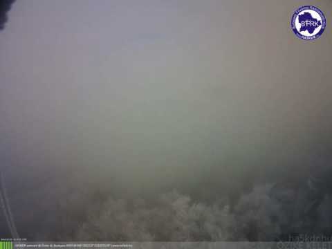 Őzike kelet 2016-12-20