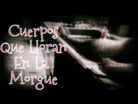 TrasnochePop - Los Cuerpos Que Lloran En La Morgue