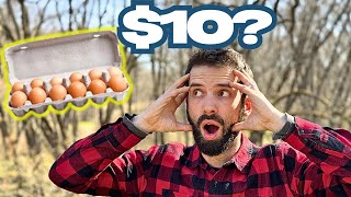 We're Being Lied to About Chicken Egg Prices.  Here is the TRUTH