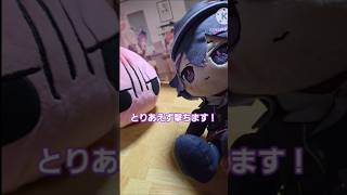 【ブルアカ】ハルカとぼちのこの出会い #ブルアカぬいぬい部 #ブルアカ#ブルーアーカイブ #ぬいぐるみ #shortvideo #shorts #BlueArchive