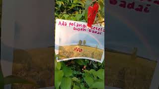Download lagu Satu² #shorts mp3 Download lagu Satu² #shorts mp3