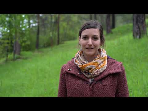 Internationaler Tag der Biodiversität