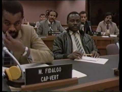 Addio Africa? Teil 1