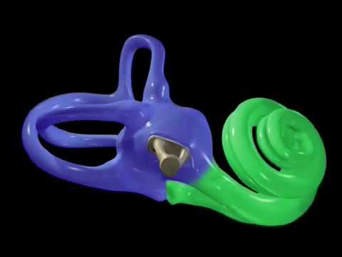 O Funcionamento do ouvido humano   auditory transduction em português