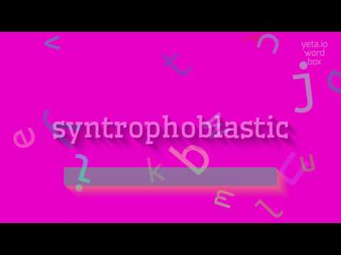 SYNTROPHOBLASTIC - HOW TO PRONOUNCE SYNTROPHOBLASTIC? #syntrophoblastic