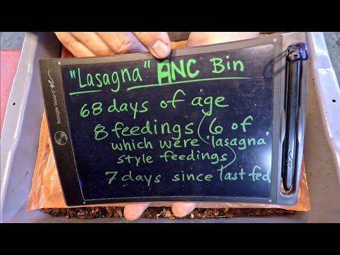 'Lasagna' style feeding replenished after a week in ANC worm bin - vermicompost