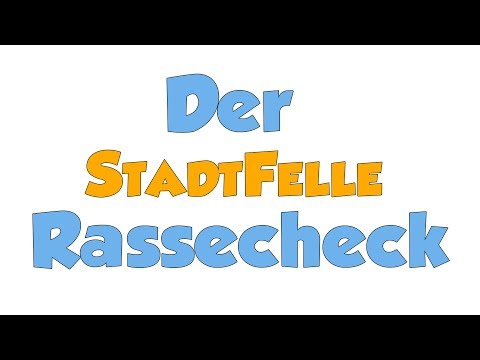 Rassecheck - wie bewerten wir die Hunde in unserer Videoreihe?