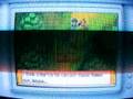 Nintendo Channel Digest Video October 27 2008
