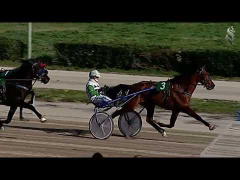 Aversa trotto 7 Gennaio 2023 - 1° Corsa