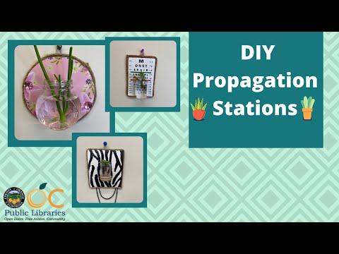 Plant Propagation Stations