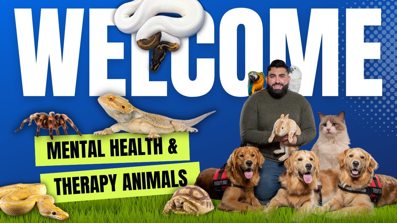 Avi Benmordechai, LCSW | Therapist in Woodmere, NY | OKclarity