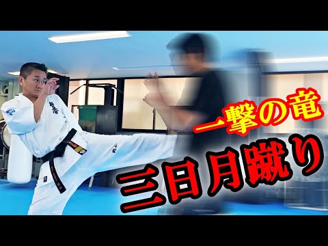 【リアル一撃必殺】成嶋竜先生の三日月蹴りがヤバすぎて言葉にならない