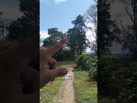 por las montañas de Pitalito Huila. #huila #turismo  #montañas