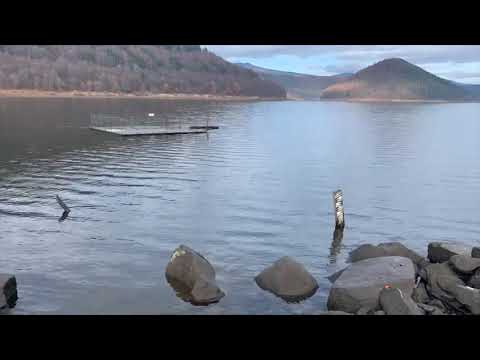 LACUL SI BARAJUL ZETEA