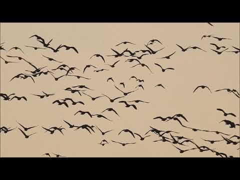 Łosinek - nasze miejsce nad Biebrzą.