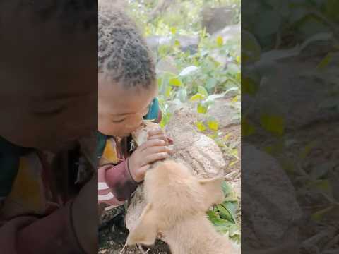 Sorry little friend, I'm so hungry #shorts #hadzatribe