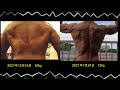 11㎏増量 広背筋下部の動き方 チェック moving muscle