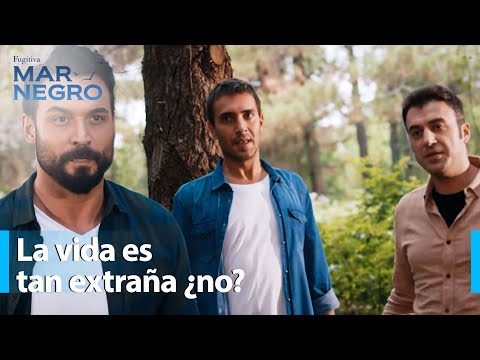 El lugar de Ferhat ha sido encontrado - Mar Negro Capítulo 181 | Fugitiva