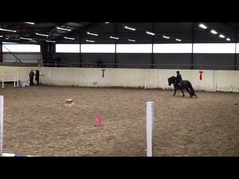 Ella felfri på Wille