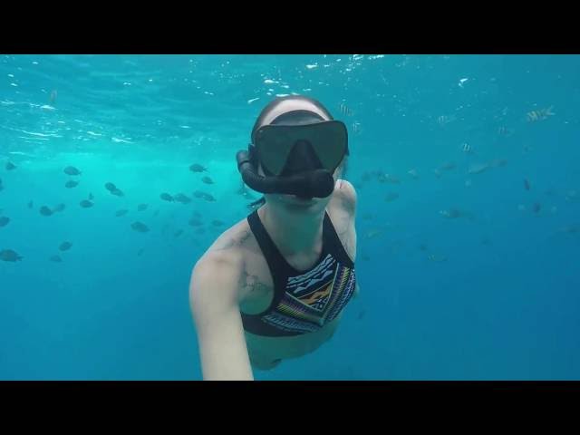 Snorkeling at Electric Beach