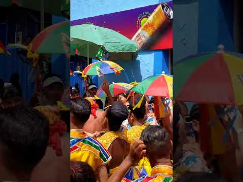 Arreia a lenha - Carnaval 2023
